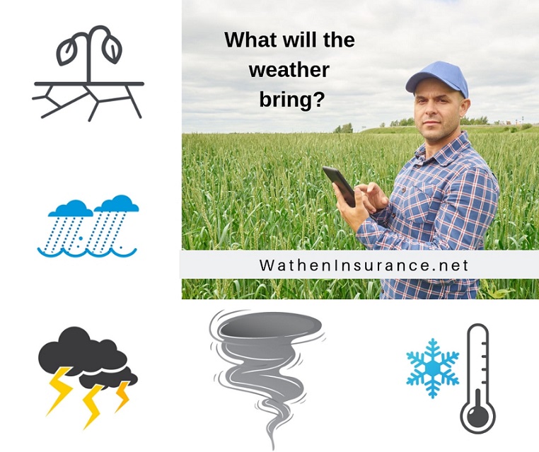 New Innovations for Severe Weather on the Farm